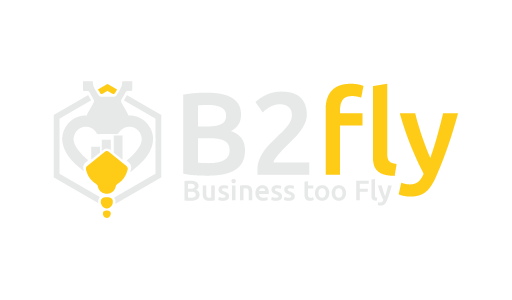 B2fly Consultoria